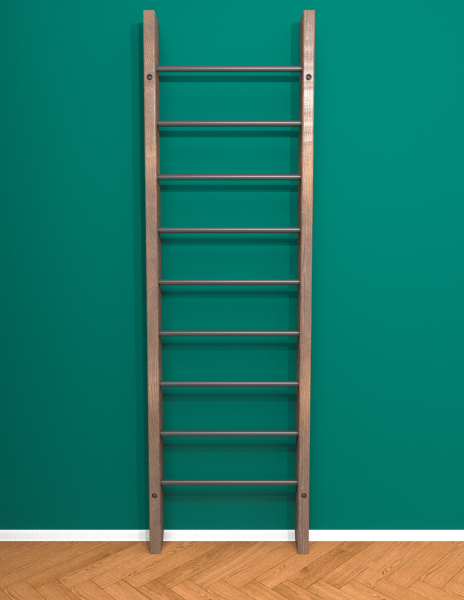 картинка Брашированная шведская стенка "Кастерли" Classic (Черные ступени) от магазина Лазалка