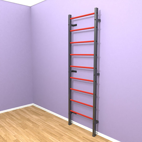 картинка Шведская стенка "LittleSport" (черный*красный) от магазина Лазалка