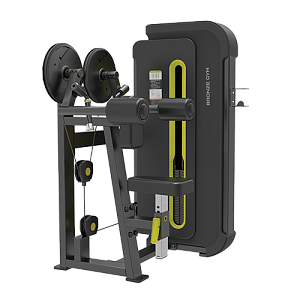 BRONZE GYM BW-3005 Дельта-машина