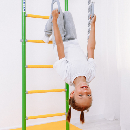 Комплекс «Шведская стенка ROMANA R5 Kometa» 01.20.7.06.490.03.00-24